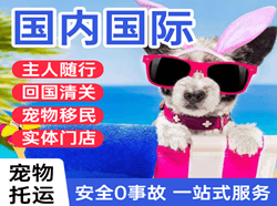 梅州梅县航空快递国际宠物托运 【国
